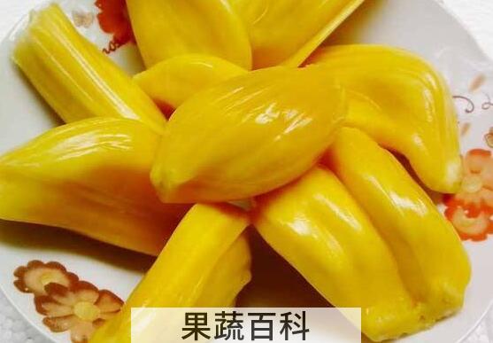 吃菠萝蜜的7大禁忌