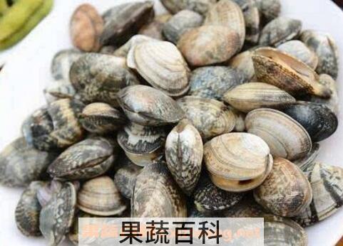 花蛤怎么洗 花蛤的最快清洗方法