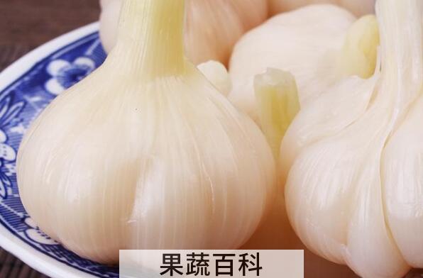 甜蒜的腌制方法 正宗甜蒜的制作方法