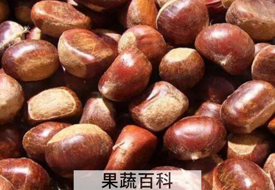 板栗的功效与作用及副作用