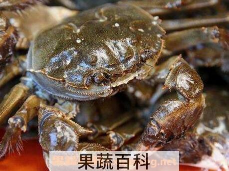 大闸蟹怎么洗 大闸蟹的清洗方法教程
