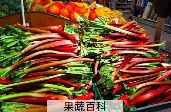 食用大黄菜怎么吃 蔬菜食用大黄的作用与功效