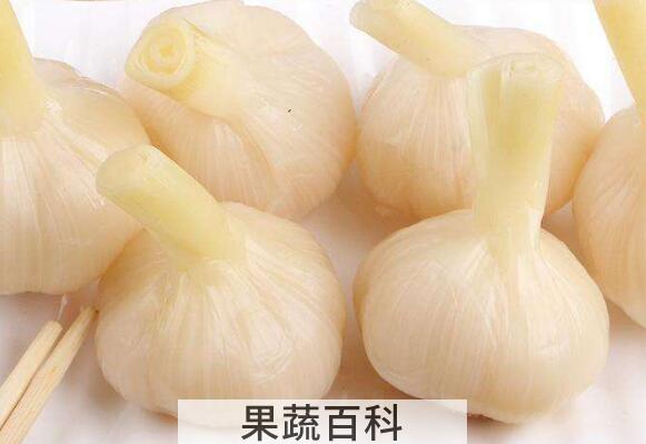 甜蒜的功效与作用 甜蒜的营养价值