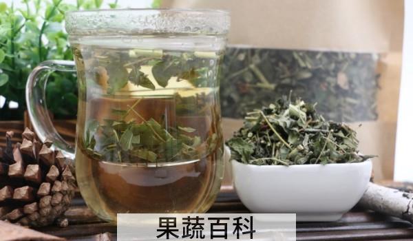 小黄芪叶泡水喝功效