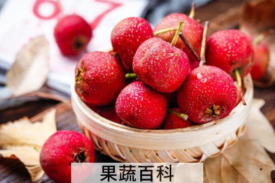 孕妇禁吃十大水果