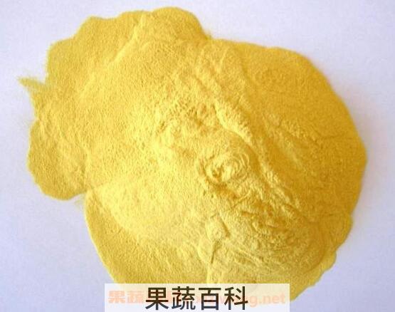 松花粉