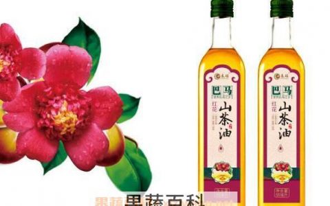 红花茶油怎么吃 红花茶油的食用方法