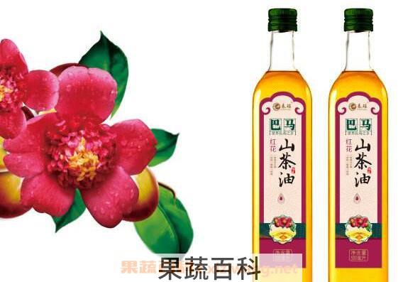 红花茶油怎么吃 红花茶油的食用方法