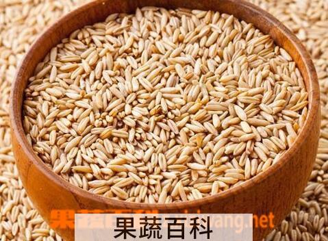 果蔬百科燕麦的功效与作用