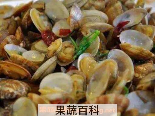 花蛤的营养价值及功效
