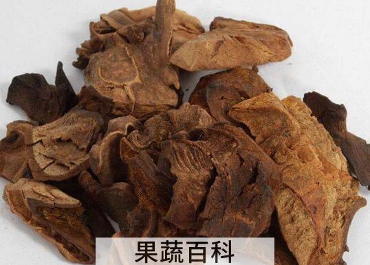 狗脊茶的功效与作用及副作用