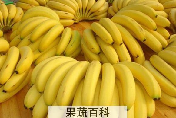 香蕉的作用和功效 吃香蕉的禁忌