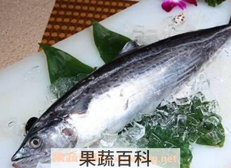 吃马鲛鱼的副作用 怎么挑选马鲛鱼