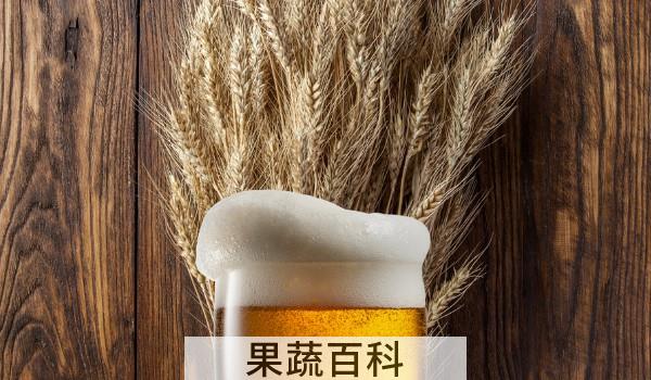 大梁山啤酒是哪里的