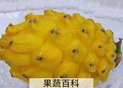 麒麟果和黄龙果的区别 吃麒麟果的好处