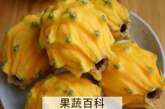麒麟果的功效与作用及禁忌