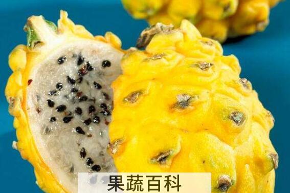 麒麟果的功效与作用及禁忌