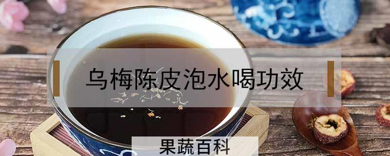 乌梅陈皮泡水喝功效