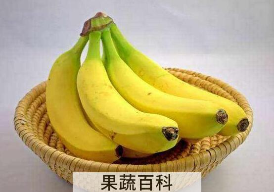 香蕉性味归经 香蕉的药用价值