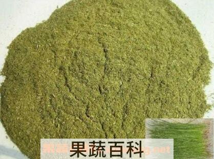 松针花粉