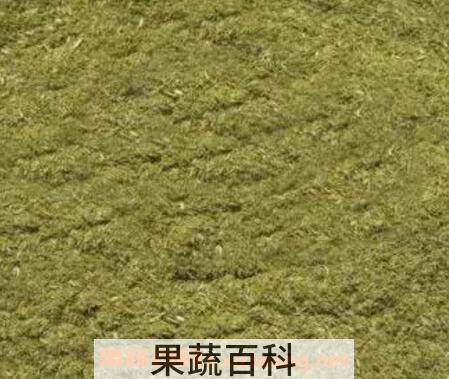 松针花粉