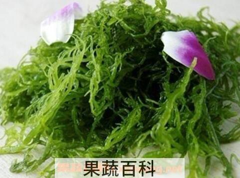火殿龙须的功效与作用及禁忌