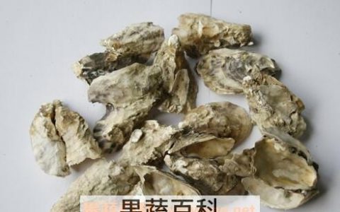 牡蛎生用和煅用的区别 牡蛎的功效与作用