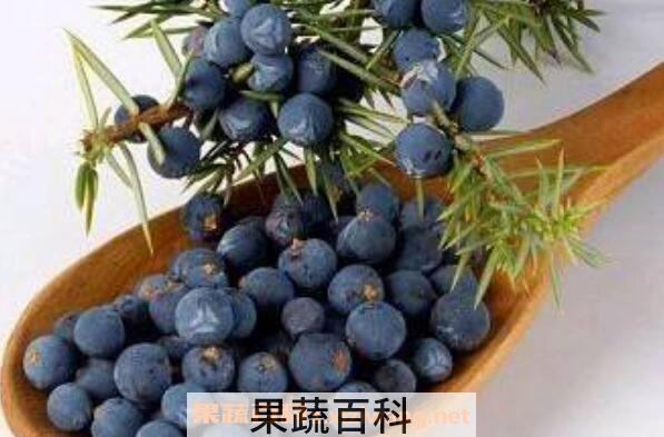 杜松浆果精油的功效与作用