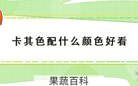 卡其色配什么颜色好看