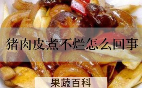 猪肉皮煮不烂怎么回事