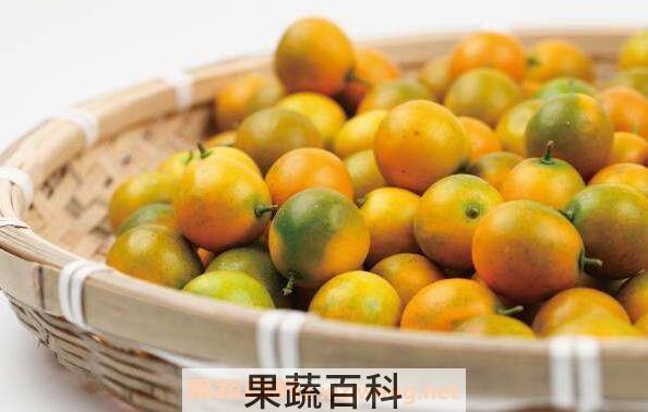 金橘精油的功效与作用