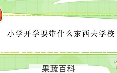 小学开学要带什么东西去学校