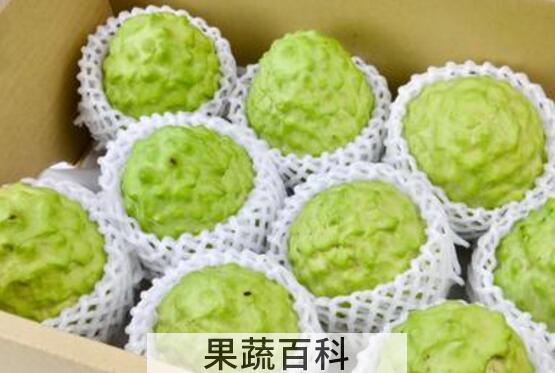 千万不要吃释迦果 释迦果为什么不能吃