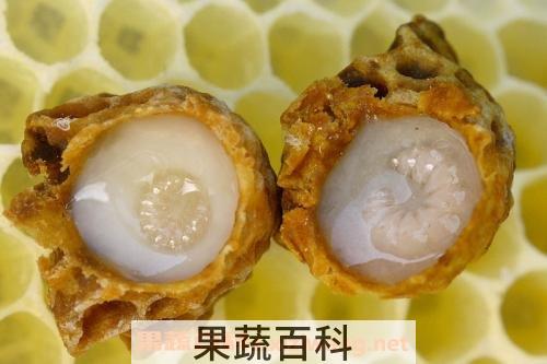 蜂王浆
