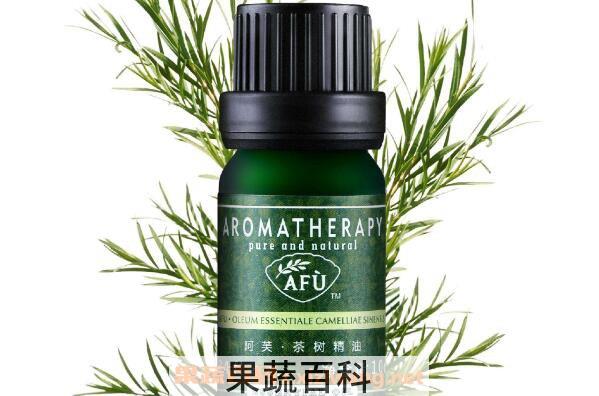 侧柏精油的功效与作用