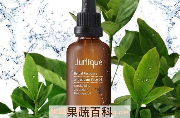 侧柏精油的功效与作用