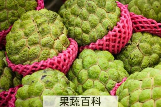 为什么男孩不能吃释迦 释迦什么人不能吃