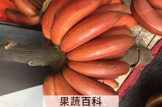 红皮香蕉的作用与功效