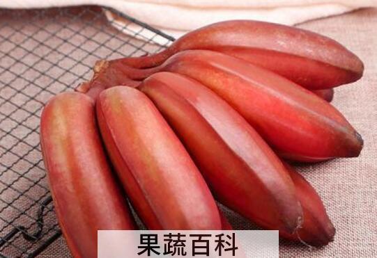 红皮香蕉的作用与功效