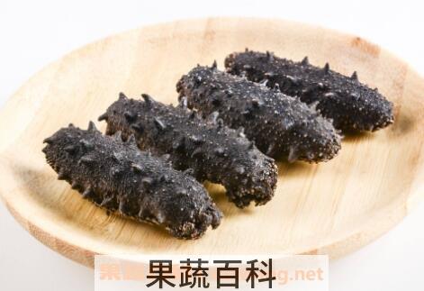 怎么发海参 发海参的最佳方法