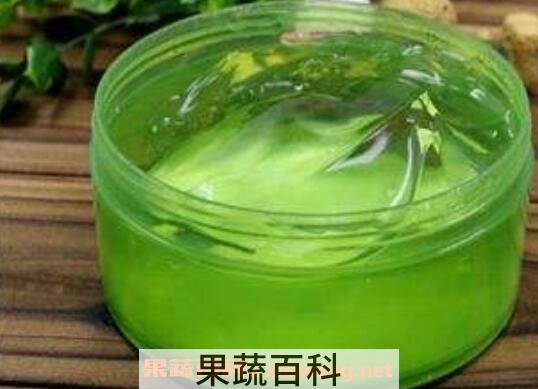  芦荟胶如何用 芦荟胶的正确用法