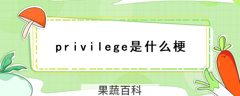 privilege是什么梗