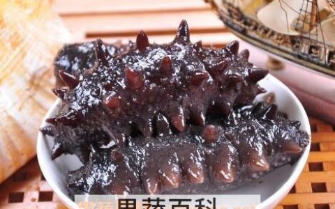 泡发海参最简单的方法