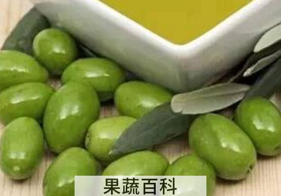橄榄果怎么吃最好 橄榄果的吃法技巧