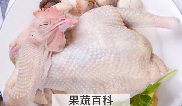 整只鸡卤多长时间