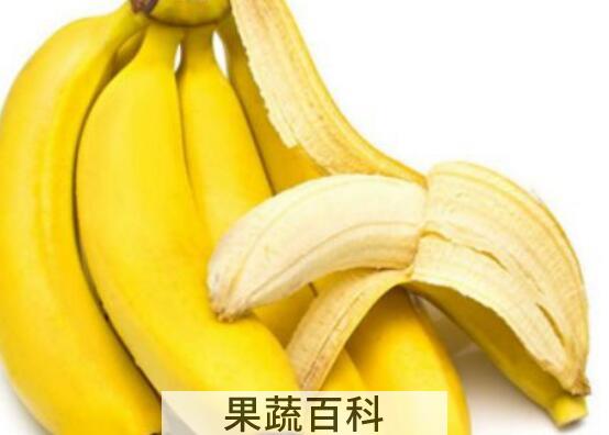 香蕉不能和什么一起吃 香蕉的食用禁忌