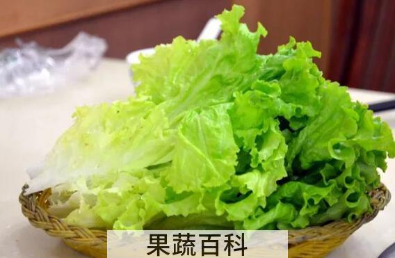 生菜有哪三大禁忌