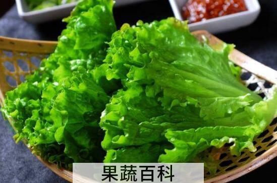 生菜有哪三大禁忌