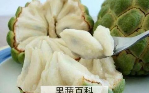 番荔枝哪些人不能吃 番荔枝的食用禁忌