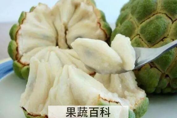 番荔枝哪些人不能吃 番荔枝的食用禁忌